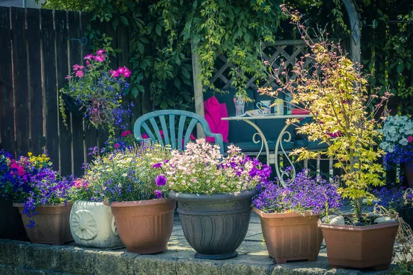 Krásné Letní Zahrada Úžasné Květy Velkých Kontejnerech — Stock fotografie