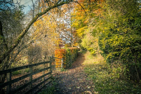 Hermoso Otoño Escocia Con Camino Rural Valla Madera — Foto de Stock