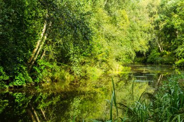 İskoçya 'daki Keşiş Adaları Kanalında Güzel Yaz
