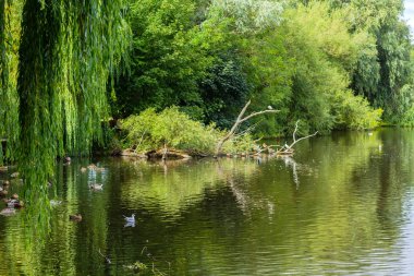 Linlithgow Loch Linlithgow, İskoçya'da