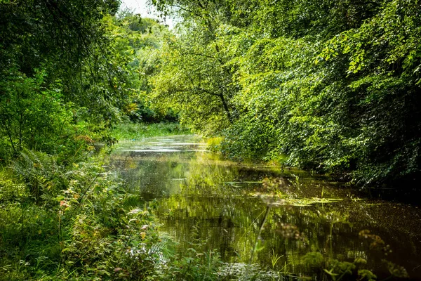 Beautiful Summer Monklands Canal Scotland — Stock Photo, Image