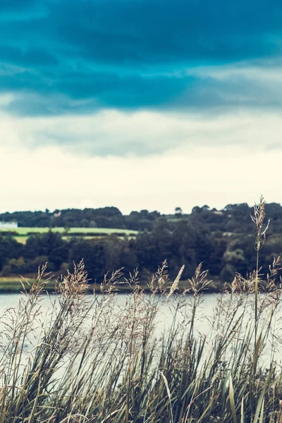 Schilderachtige Panorama Van Linlithgow Loch Linlithgow Schotland — Stockfoto