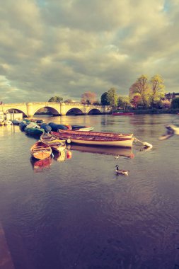 Richmond Köprüsü, Thames Nehri, Richmond, Londra, İngiltere