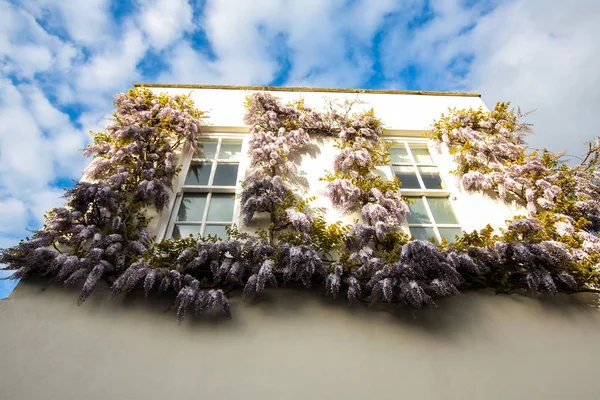 Arquitectura Richmond Londres Reino Unido — Foto de Stock