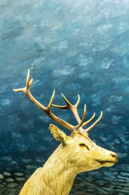 Güzel geyik, sanat resim, Doğal Tarih Müzesi, Londra