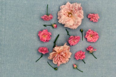 Romantik, mavi arka planda rosies
