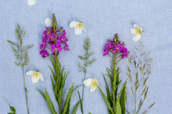 Красиві Дикі Квіти Художній Фон — стокове фото