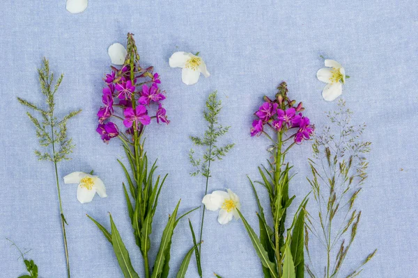 Schöne Wildblumen Künstlerischer Hintergrund — Stockfoto