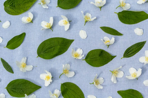 Romantische Bloemen Achtergrond Met Witte Bloemen Blauwe Stof — Stockfoto