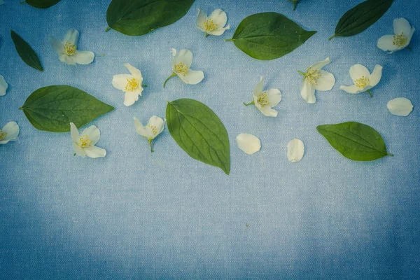 Fundo Floral Romântico Com Flores Brancas Tecido Azul — Fotografia de Stock