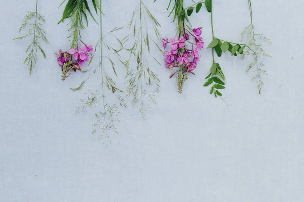 Schöne Wildblumen Künstlerischer Hintergrund — Stockfoto