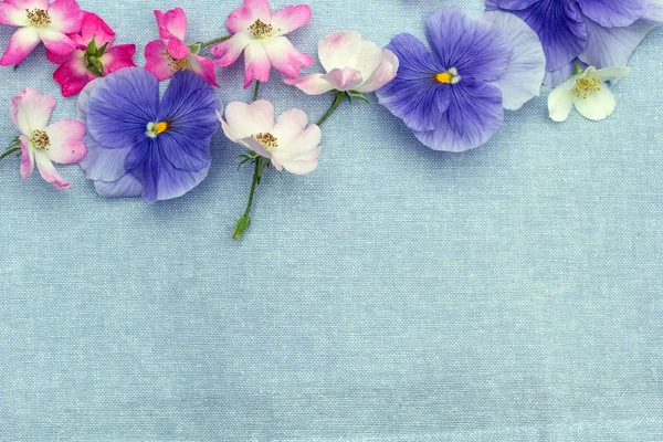 Mooie Florale Achtergrond Met Rozen Viooltjes — Stockfoto