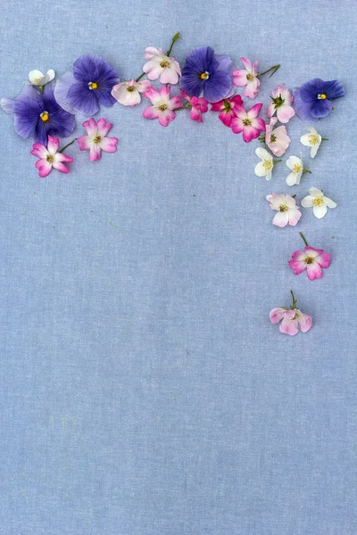花卉背景与玫瑰和紫罗兰 — 图库照片