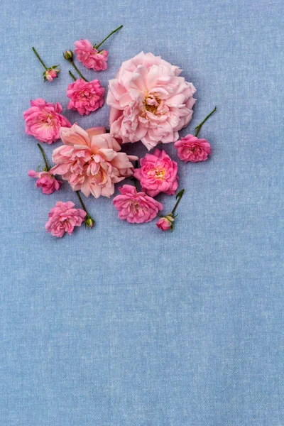 Roses Roses Sur Fond Bleu Tissu — Photo