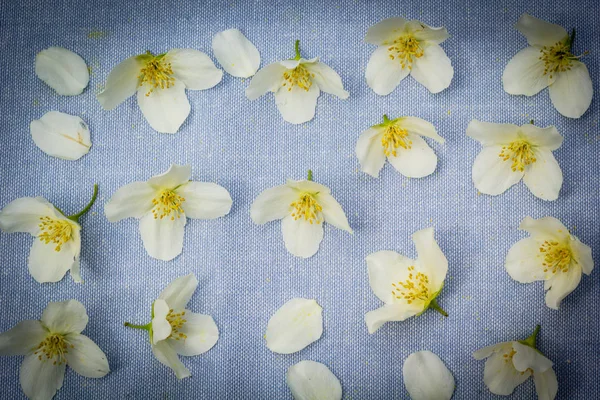 Zarte Weiße Blumen Auf Stoffhintergrund Nahaufnahme — Stockfoto