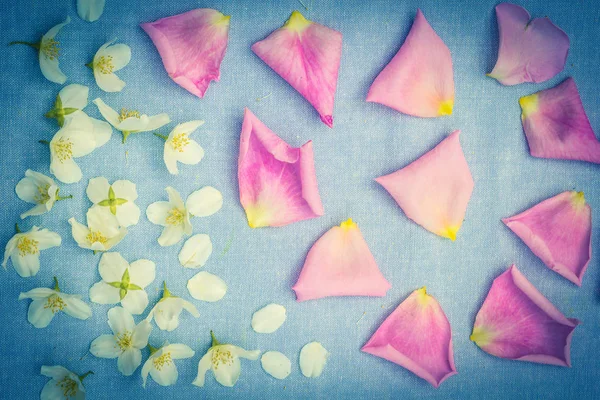 Romantisk Blommig Bakgrund Med Vita Blommor Och Rosa Rosenblad — Stockfoto