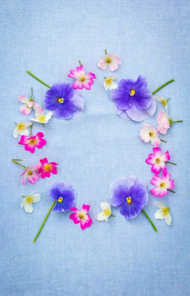 美丽的 自然的框架与紫罗兰色的紫罗兰和粉红色的玫瑰在蓝色 织物背景 — 图库照片