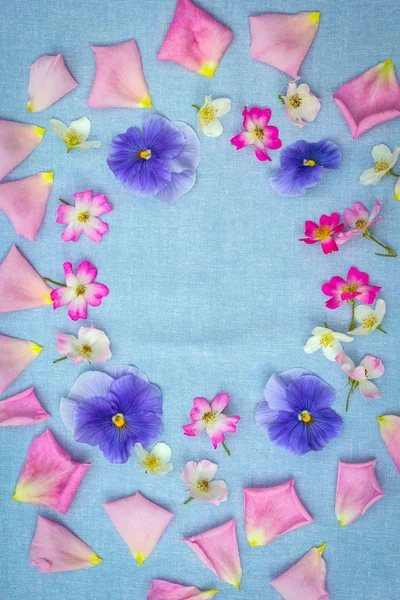 Beautifuil Natural Frame Violet Pansies Pink Roses Blue Fabric Background — Stock Photo, Image