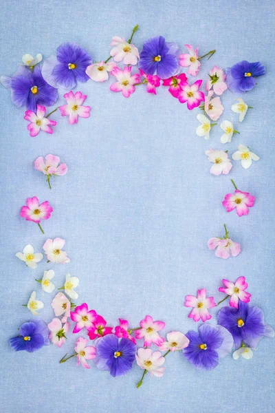 Beautifuil Natural Frame Violet Pansies Pink Roses Blue Fabric Background — Stock Photo, Image