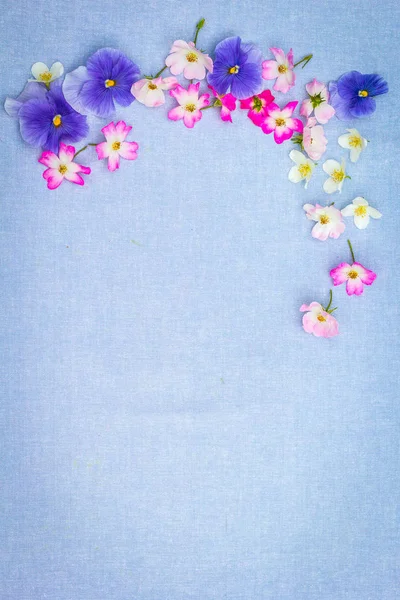 Beautifuil Kék Szövet Alapon Rózsaszín Rózsa Lila Árvácskák Természetes Keret — Stock Fotó