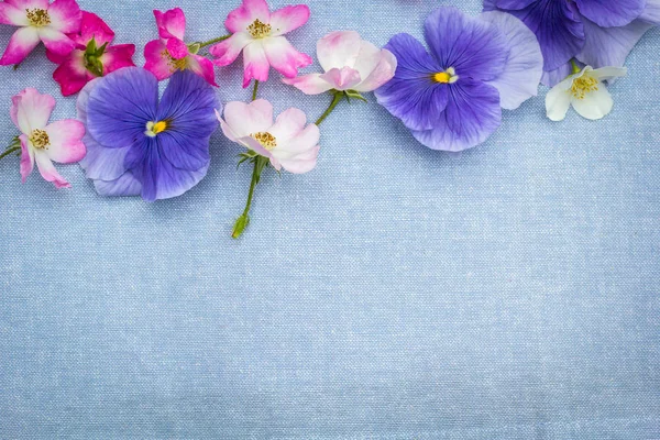 Beautiful Fuil Natural Frame Violet Pansies Pink Roses Blue Fabric — стоковое фото