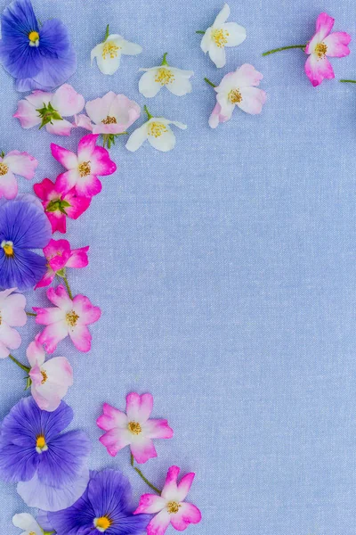 Beautifuil Натуральна Рамка Фіолетовими Братками Рожевими Трояндами Синьому Тканинному Фоні — стокове фото