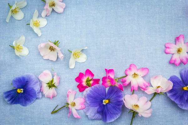 Beautifuil Natuurlijke Frame Met Paarse Viooltjes Roze Rozen Blauw Stof — Stockfoto