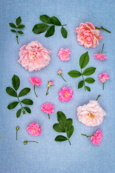 Beautifu Romântico Fundo Floral Com Rosas Rosa Fundo Azul Tecido — Fotografia de Stock