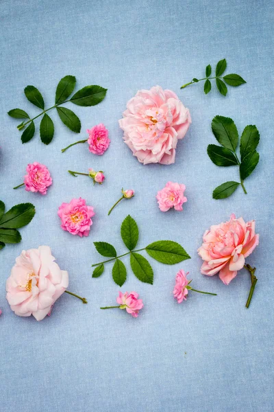 Beautifu Romantic Floral Background Pink Roses Blue Fabric Background — Stock Photo, Image