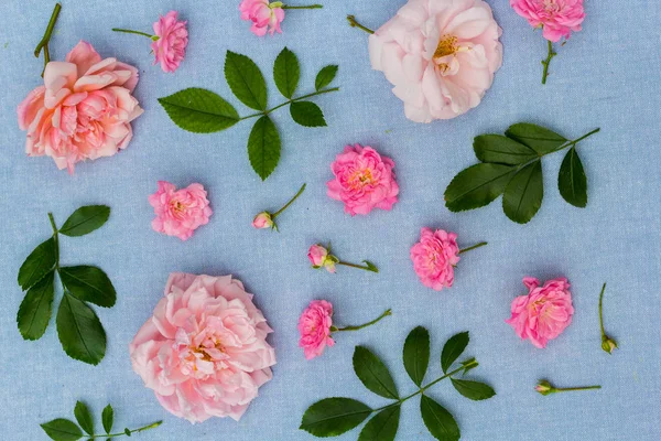 Beautifu Romantisk Blommig Bakgrund Med Rosa Rosor Blå Tyg Bakgrund — Stockfoto