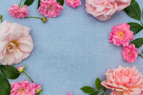 おしゃれ 青地の生地にピンクのバラでロマンチックな花のフレーム — ストック写真