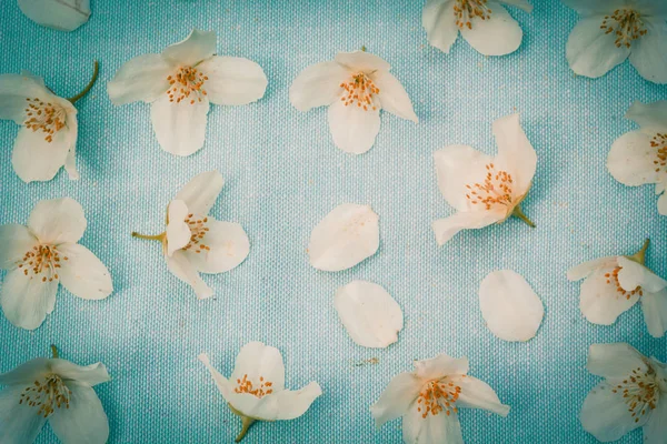 Delicadas Flores Blancas Sobre Fondo Tela Cerca —  Fotos de Stock