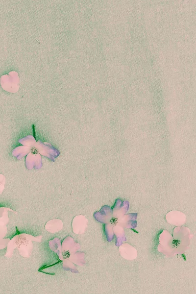 Fijne Witte Bloemen Stof Achtergrond Close — Stockfoto