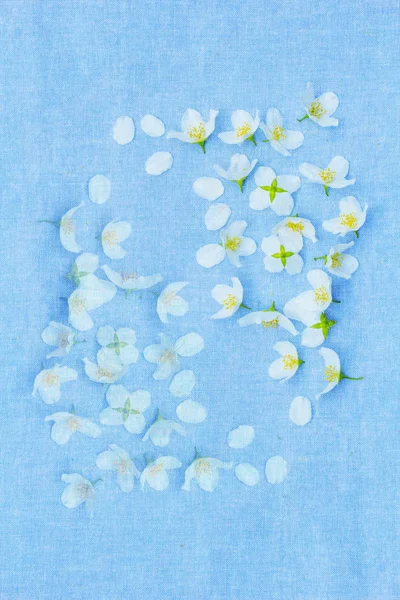Белые Весенние Цветы Фоне Ткани — стоковое фото