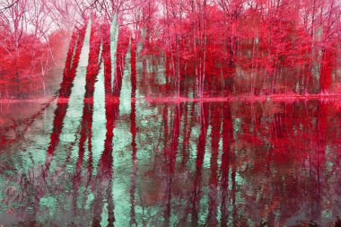 Güzel sonbahar sanatsal arka plan