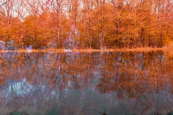 Hermoso Fondo Artístico Otoño —  Fotos de Stock