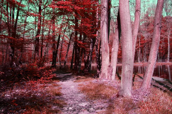 Vacker Höst Konstnärlig Bakgrund — Stockfoto