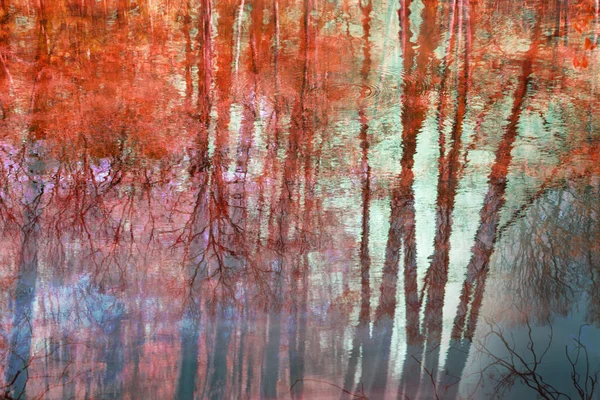 Hermoso Fondo Artístico Otoño — Foto de Stock