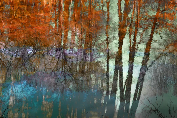 美しい秋の芸術的背景 — ストック写真