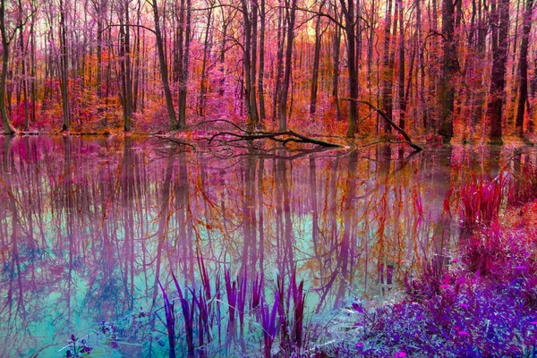 Beautiful Autumn artistic fantasy forest with a pond