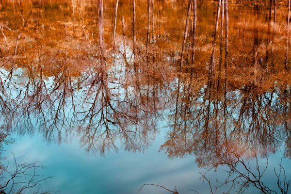 Schöner Herbstlicher Künstlerischer Hintergrund — Stockfoto