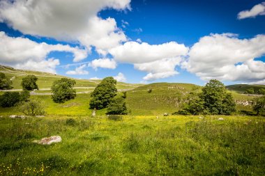 Malham Cove Yorkshire Dales National Park turist Attraction, Ingiltere, Birleşik Krallık yaz manzara