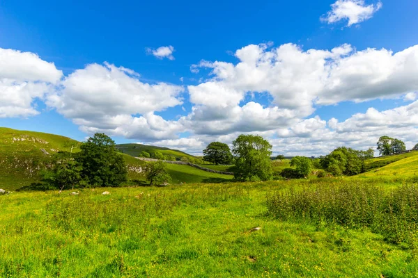 Літній Краєвид Malham Cove Йоркширський Землі Національний Парк Притягнення Туриста — стокове фото