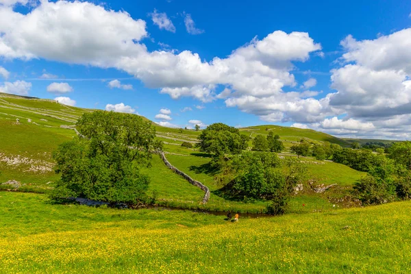 Paisaje Verano Malham Cove Yorkshire Dales National Park Tourist Attraction —  Fotos de Stock