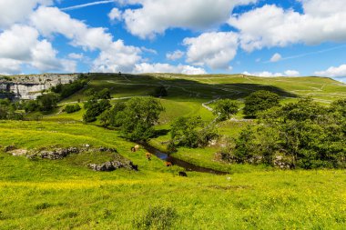 Malham Cove Yorkshire Dales National Park turist Attraction, Ingiltere, Birleşik Krallık yaz manzara