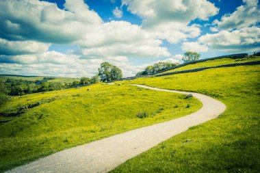 Malham Cove Yorkshire Dales Milli Parkı turist cazibe, Ingiltere, Birleşik Krallık için bir yol
