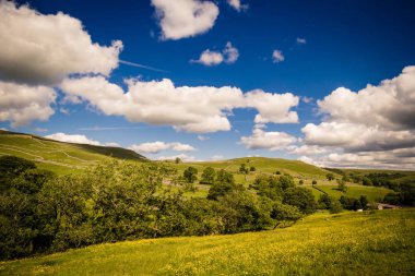 Malham Cove Yorkshire Dales National Park turist Attraction, Ingiltere, Birleşik Krallık yaz manzara