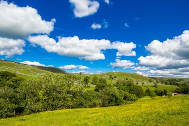 Malham Cove Yorkshire Dales National Park turist Attraction, Ingiltere, Birleşik Krallık yaz manzara