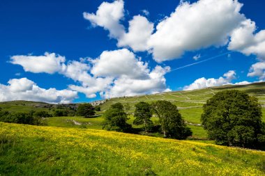 Malham Cove Yorkshire Dales National Park turist Attraction, Ingiltere, Birleşik Krallık yaz manzara