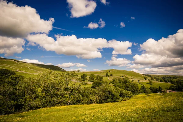 Lato Krajobraz Malham Cove Yorkshire Dales Park Narodowy Atrakcją Turystyczną — Zdjęcie stockowe